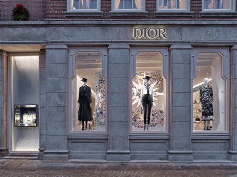 dam to show dior